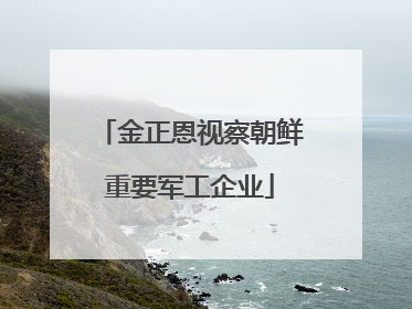 金正恩视察朝鲜重要军工企业