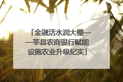 金融活水润大棚——莘县农商银行赋能设施农业升级纪实
