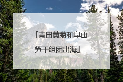 青田黄菊和阜山笋干组团出海