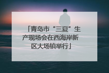 青岛市“三夏”生产现场会在西海岸新区大场镇举行