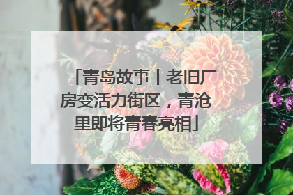 青岛故事丨老旧厂房变活力街区，青沧里即将青春亮相