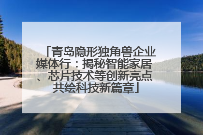青岛隐形独角兽企业媒体行：揭秘智能家居、芯片技术等创新亮点 共绘科技新篇章