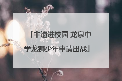 非遗进校园 龙泉中学龙狮少年申请出战