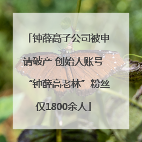 钟薛高子公司被申请破产 创始人账号“钟薛高老林”粉丝仅1800余人