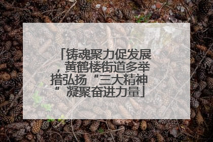 铸魂聚力促发展，黄鹤楼街道多举措弘扬“三大精神”凝聚奋进力量