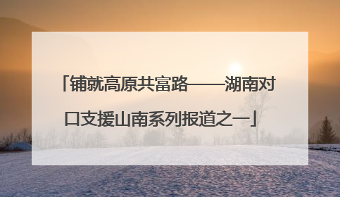 铺就高原共富路——湖南对口支援山南系列报道之一