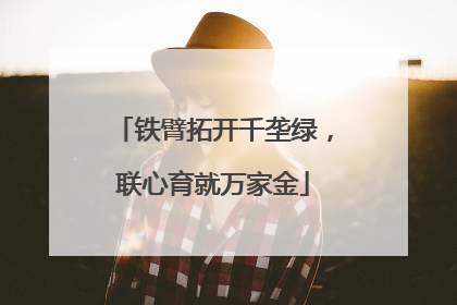 铁臂拓开千垄绿，联心育就万家金