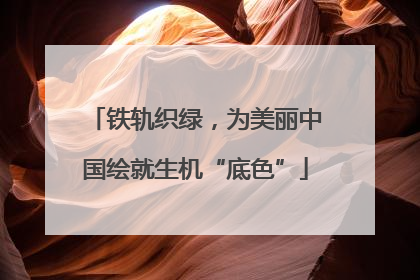 铁轨织绿，为美丽中国绘就生机“底色”