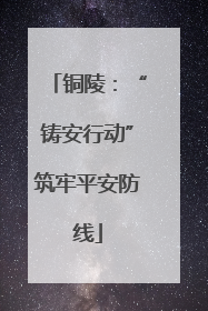 铜陵：“铸安行动”筑牢平安防线