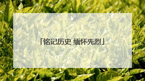 铭记历史 缅怀先烈