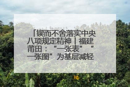 锲而不舍落实中央八项规定精神丨福建莆田：“一张表”“一张图”为基层减轻“数字负担”