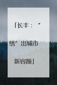长丰：“绣”出城市新容颜