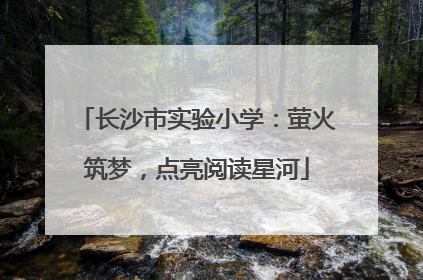 长沙市实验小学：萤火筑梦，点亮阅读星河