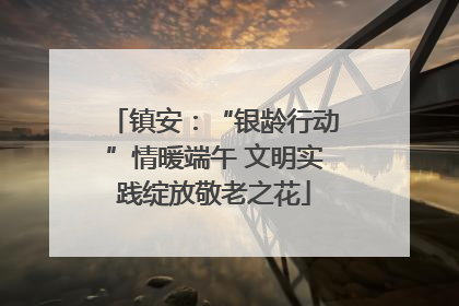 镇安：“银龄行动”情暖端午 文明实践绽放敬老之花