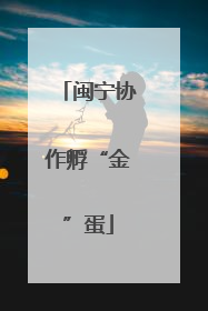闽宁协作孵“金”蛋