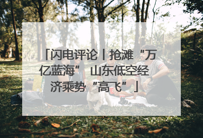 闪电评论丨抢滩“万亿蓝海” 山东低空经济乘势“高飞”