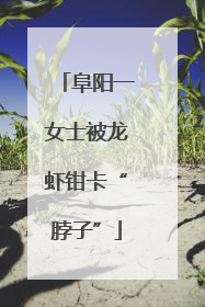 阜阳一女士被龙虾钳卡“脖子”