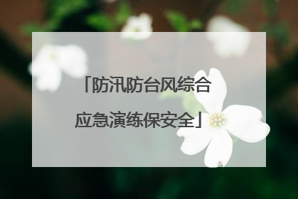 防汛防台风综合应急演练保安全
