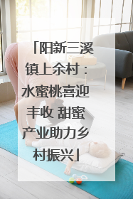 阳新三溪镇上余村：水蜜桃喜迎丰收 甜蜜产业助力乡村振兴