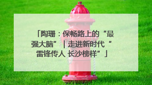 陶珊：保畅路上的“最强大脑”｜走进新时代“雷锋传人 长沙榜样”