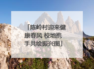 陈岭村迎来健康春风 校地携手共绘振兴图