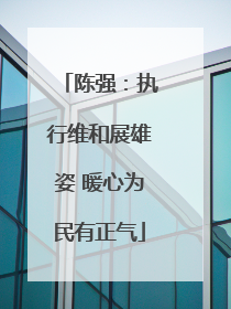陈强：执行维和展雄姿 暖心为民有正气