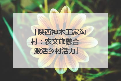 陕西神木王家沟村：农文旅融合 激活乡村活力