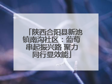 陕西合阳县新池镇南沟社区：葡萄串起振兴路 聚力同行显效能