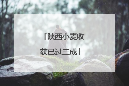 陕西小麦收获已过三成