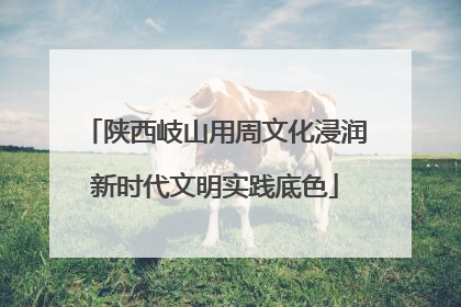 陕西岐山用周文化浸润新时代文明实践底色