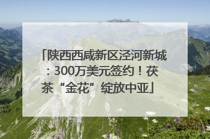 陕西西咸新区泾河新城：300万美元签约！茯茶“金花”绽放中亚