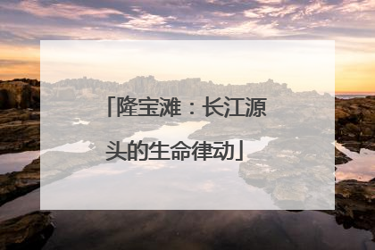 隆宝滩：长江源头的生命律动