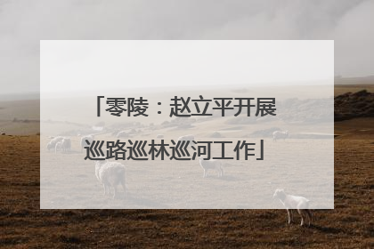 零陵：赵立平开展巡路巡林巡河工作