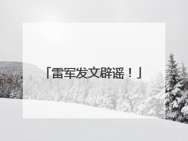 雷军发文辟谣！