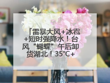 雷暴大风+冰雹+短时强降水！台风“蝴蝶”午后卸货湖北！35℃+又火速上线
