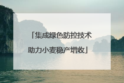 集成绿色防控技术助力小麦稳产增收
