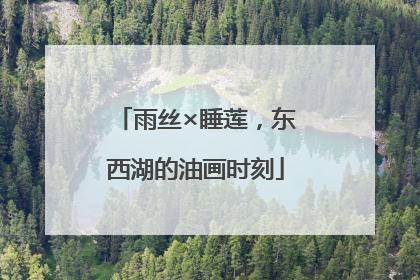 雨丝×睡莲，东西湖的油画时刻