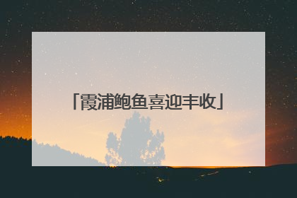 霞浦鲍鱼喜迎丰收