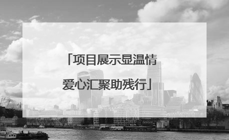 项目展示显温情 爱心汇聚助残行