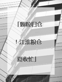 颗粒归仓！江淮粮仓夏收忙