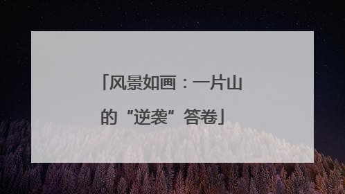 风景如画：一片山的“逆袭”答卷