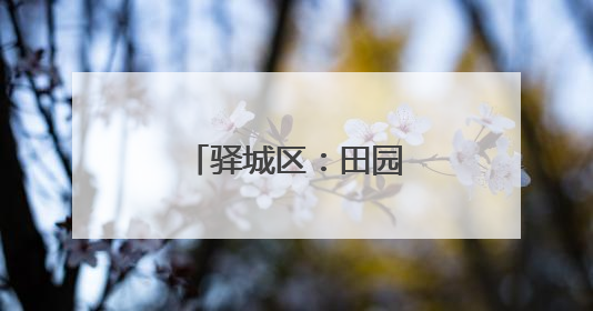 驿城区：田园瓜果香四溢 乡村产业谱新篇