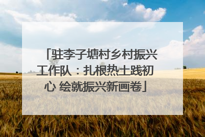 驻李子塘村乡村振兴工作队：扎根热土践初心 绘就振兴新画卷