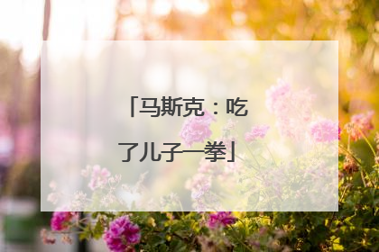 马斯克：吃了儿子一拳