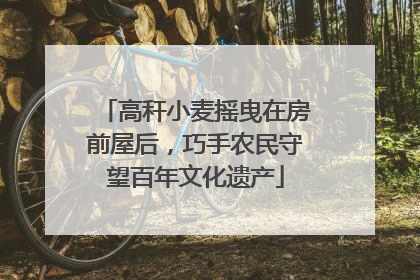 高秆小麦摇曳在房前屋后，巧手农民守望百年文化遗产