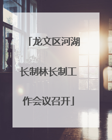 龙文区河湖长制林长制工作会议召开