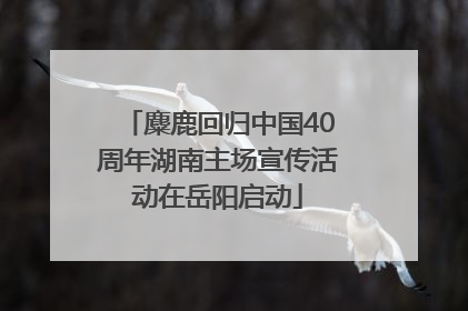 麋鹿回归中国40周年湖南主场宣传活动在岳阳启动