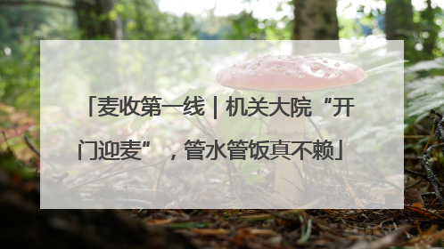 麦收第一线｜机关大院“开门迎麦”，管水管饭真不赖