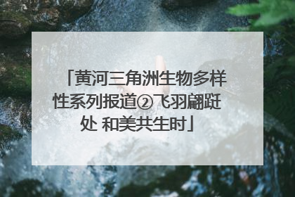 黄河三角洲生物多样性系列报道②飞羽翩跹处 和美共生时