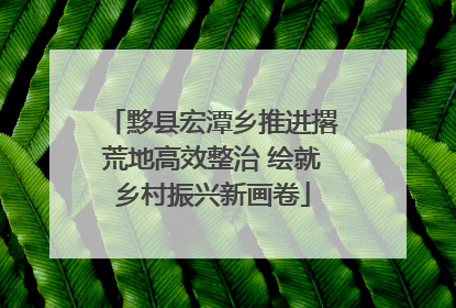 黟县宏潭乡推进撂荒地高效整治 绘就乡村振兴新画卷